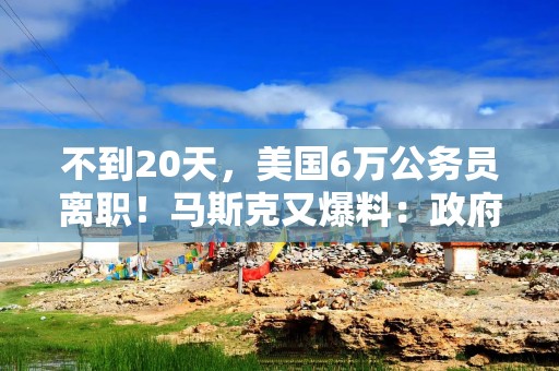 不到20天，美国6万公务员离职！马斯克又爆料：政府花5900万美元给非法移民安排豪华酒店，必须追回