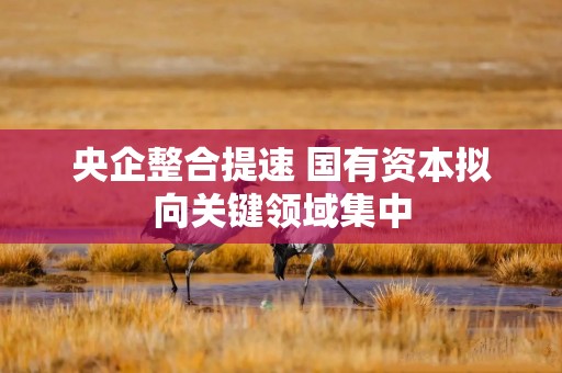 央企整合提速 国有资本拟向关键领域集中