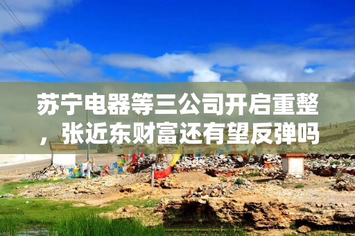 苏宁电器等三公司开启重整，张近东财富还有望反弹吗？
