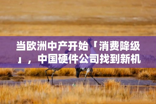 当欧洲中产开始「消费降级」，中国硬件公司找到新机会｜New Land