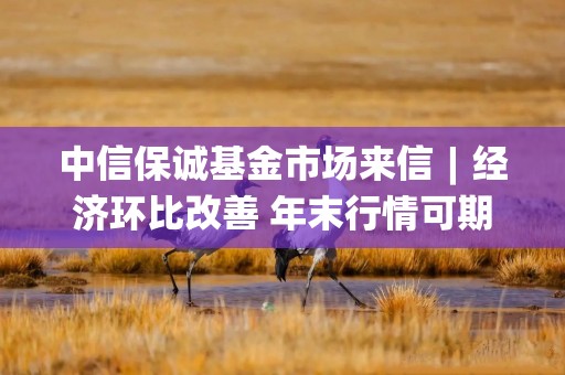中信保诚基金市场来信︱经济环比改善 年末行情可期