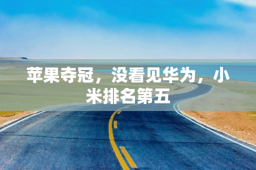 苹果夺冠，没看见华为，小米排名第五