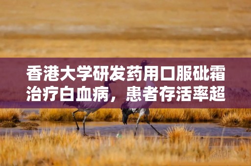 香港大学研发药用口服砒霜治疗白血病，患者存活率超 97%