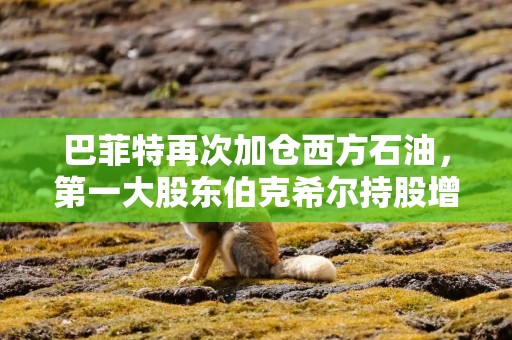 巴菲特再次加仓西方石油，第一大股东伯克希尔持股增至28.3%