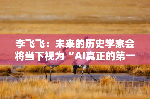 李飞飞：未来的历史学家会将当下视为“AI真正的第一个时代”