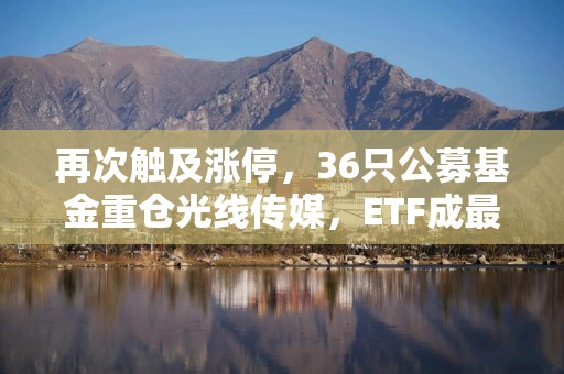 再次触及涨停，36只公募基金重仓光线传媒，ETF成最大赢家，资金正获利离场