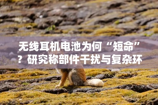 无线耳机电池为何“短命”？研究称部件干扰与复杂环境是“元凶”