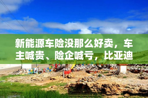 新能源车险没那么好卖，车主喊贵、险企喊亏，比亚迪财险首年亏损1.69亿