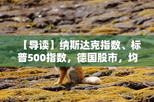 【导读】纳斯达克指数、标普500指数，德国股市，均创下新高
