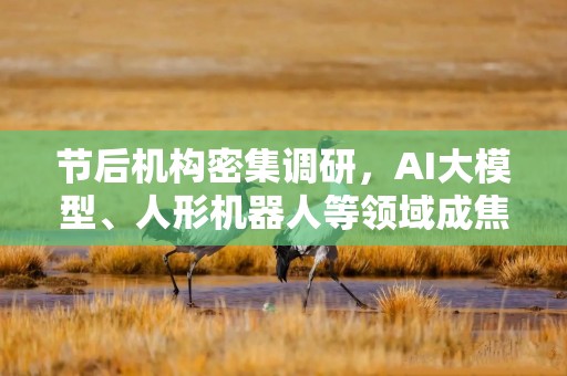 节后机构密集调研，AI大模型、人形机器人等领域成焦点