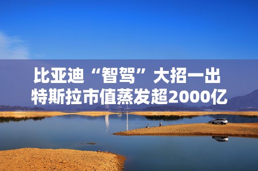 比亚迪“智驾”大招一出 特斯拉市值蒸发超2000亿美元