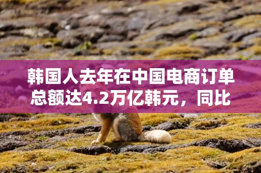 韩国人去年在中国电商订单总额达4.2万亿韩元，同比大增85%