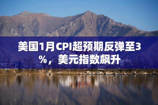 美国1月CPI超预期反弹至3%，美元指数飙升