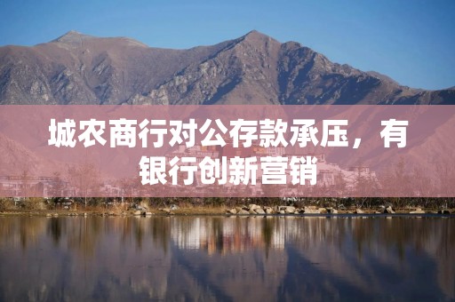 城农商行对公存款承压，有银行创新营销