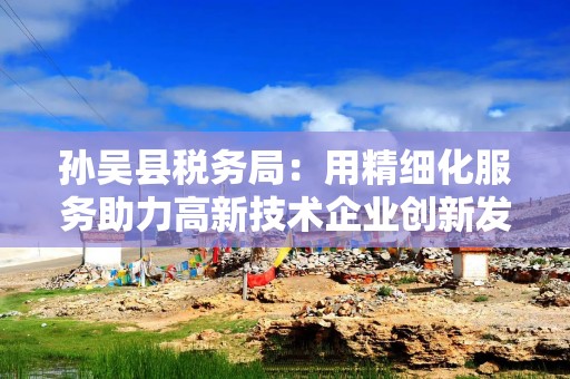 孙吴县税务局：用精细化服务助力高新技术企业创新发展