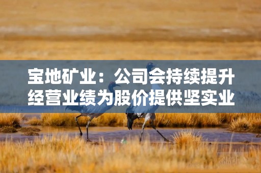 宝地矿业：公司会持续提升经营业绩为股价提供坚实业绩支撑