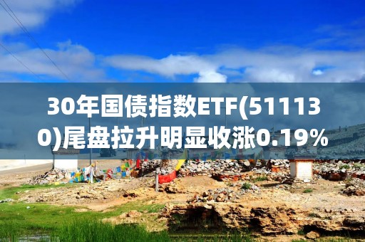 30年国债指数ETF(511130)尾盘拉升明显收涨0.19%，机构：债市多头逻辑未改，政策博弈临近波动加大