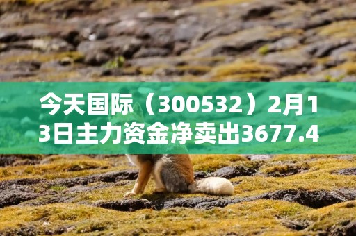 今天国际（300532）2月13日主力资金净卖出3677.45万元