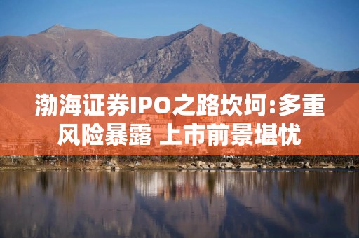 渤海证券IPO之路坎坷:多重风险暴露 上市前景堪忧