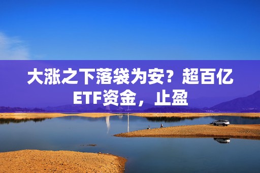 大涨之下落袋为安？超百亿ETF资金，止盈