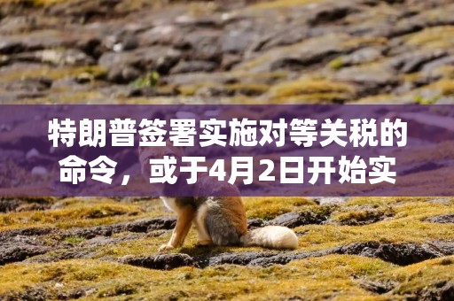 特朗普签署实施对等关税的命令，或于4月2日开始实施