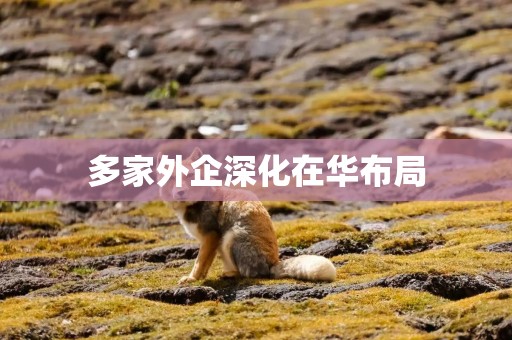 多家外企深化在华布局