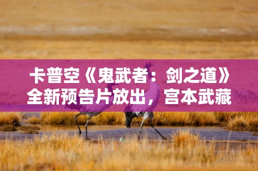 卡普空《鬼武者：剑之道》全新预告片放出，宫本武藏担任主角