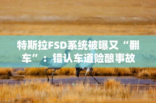 特斯拉FSD系统被曝又“翻车”：错认车道险酿事故