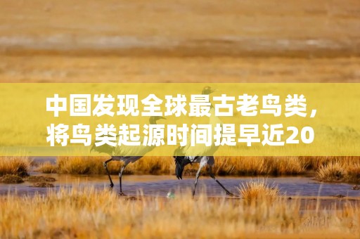 中国发现全球最古老鸟类，将鸟类起源时间提早近2000万年