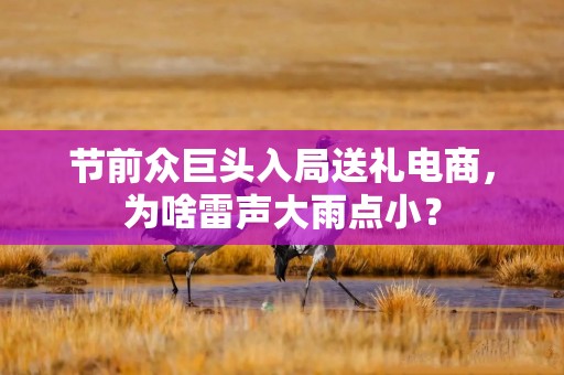 节前众巨头入局送礼电商，为啥雷声大雨点小？