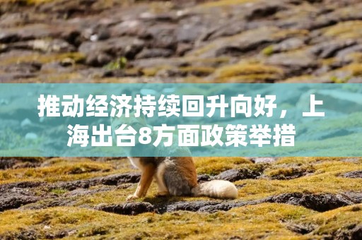 推动经济持续回升向好，上海出台8方面政策举措