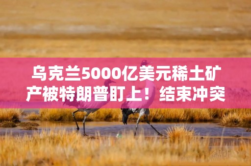 乌克兰5000亿美元稀土矿产被特朗普盯上！结束冲突需要先付点利息？