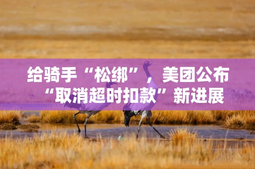 给骑手“松绑”，美团公布“取消超时扣款”新进展