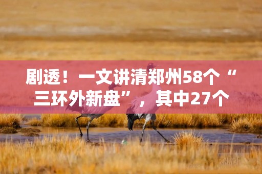 剧透！一文讲清郑州58个“三环外新盘”，其中27个已启动