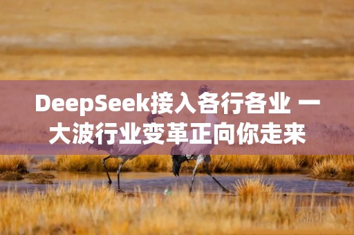 DeepSeek接入各行各业 一大波行业变革正向你走来