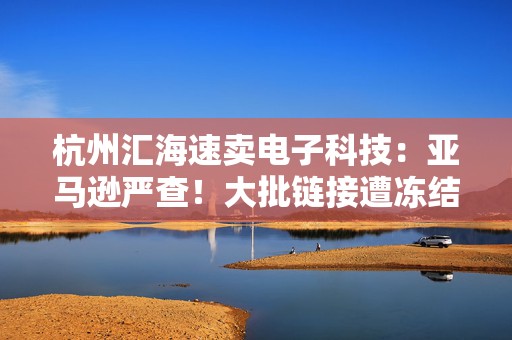 杭州汇海速卖电子科技：亚马逊严查！大批链接遭冻结