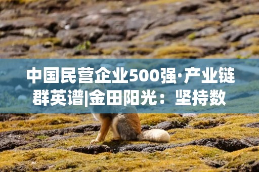 中国民营企业500强·产业链群英谱|金田阳光：坚持数字化赋能，构建产业链和数字生态圈
