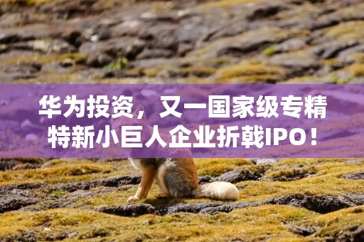 华为投资，又一国家级专精特新小巨人企业折戟IPO！