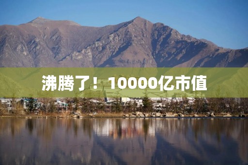 沸腾了！10000亿市值