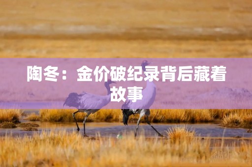 陶冬：金价破纪录背后藏着故事