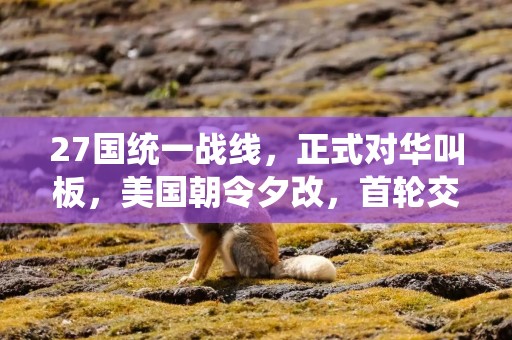 27国统一战线，正式对华叫板，美国朝令夕改，首轮交锋有了结果