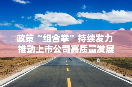 政策“组合拳”持续发力 推动上市公司高质量发展