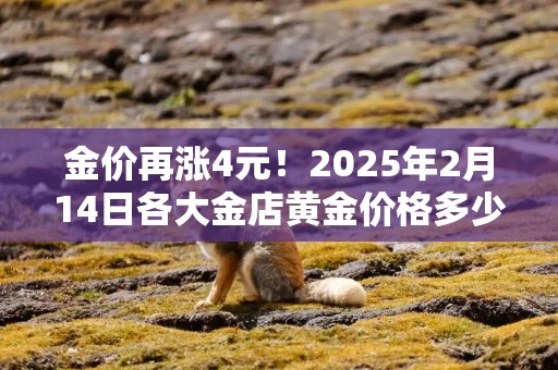 金价再涨4元！2025年2月14日各大金店黄金价格多少钱一克？