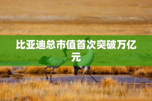 比亚迪总市值首次突破万亿元