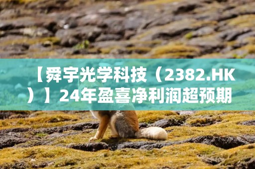 【舜宇光学科技（2382.HK）】24年盈喜净利润超预期，25年光学规格升级+智驾平权成业绩增长主要驱动力——24年盈利预告点评