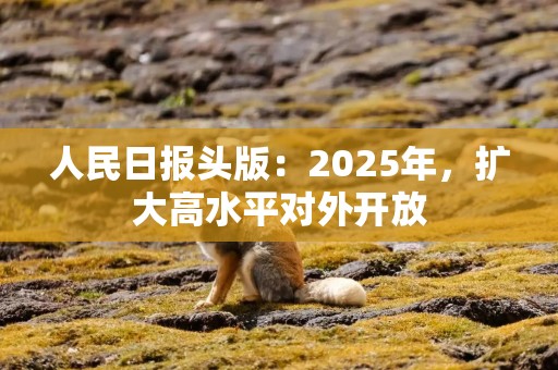 人民日报头版：2025年，扩大高水平对外开放
