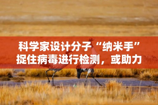 科学家设计分子“纳米手”捉住病毒进行检测，或助力精准医疗