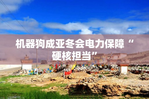 机器狗成亚冬会电力保障“硬核担当”