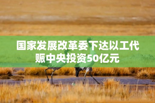 国家发展改革委下达以工代赈中央投资50亿元