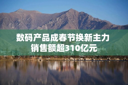 数码产品成春节换新主力 销售额超310亿元
